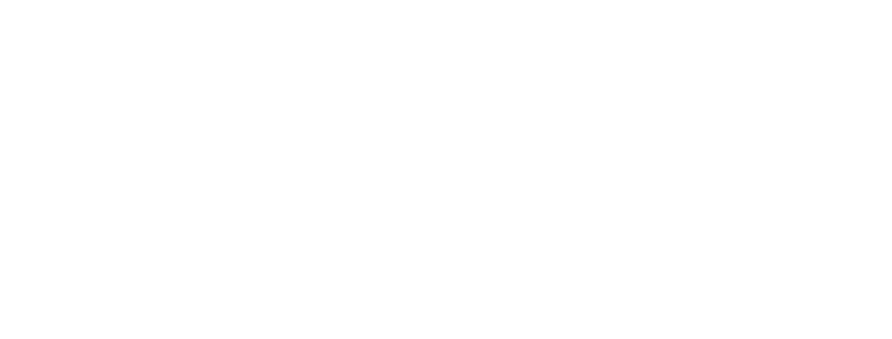 BVS Performance Systems Logo